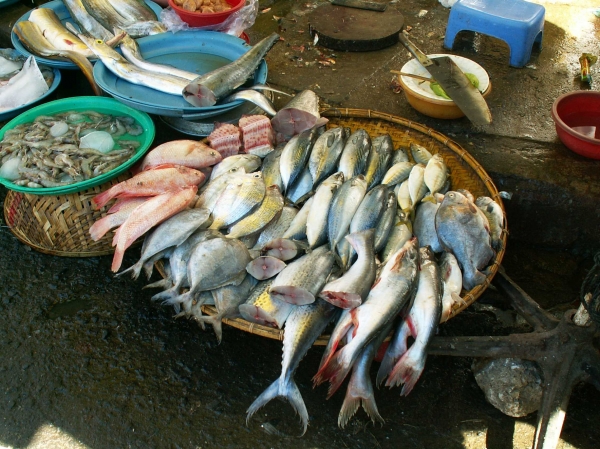 Le marché à Kon Tum (11)
